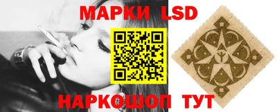 шишки Тара